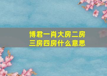 博君一肖大房二房三房四房什么意思