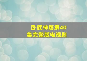 卧底神鹰第40集完整版电视剧