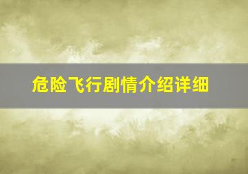 危险飞行剧情介绍详细