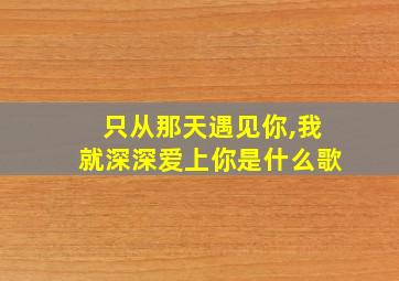 只从那天遇见你,我就深深爱上你是什么歌