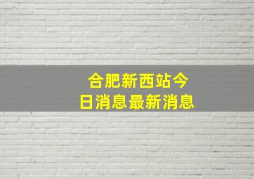 合肥新西站今日消息最新消息