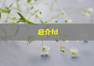 启介fd