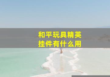 和平玩具精英挂件有什么用