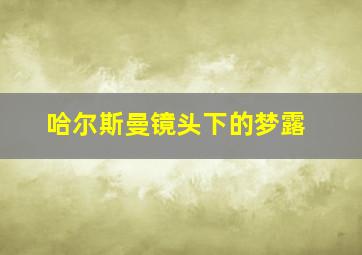 哈尔斯曼镜头下的梦露