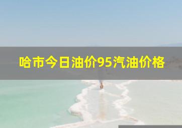 哈市今日油价95汽油价格