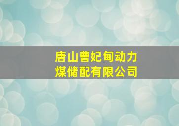 唐山曹妃甸动力煤储配有限公司