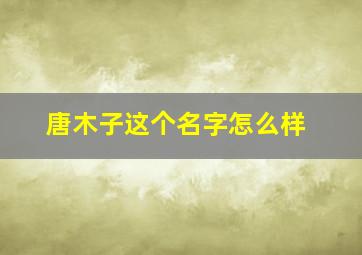 唐木子这个名字怎么样