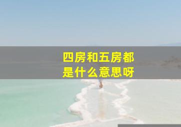 四房和五房都是什么意思呀