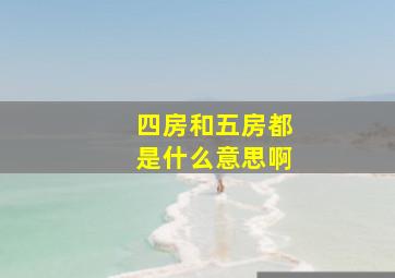 四房和五房都是什么意思啊