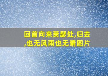 回首向来萧瑟处,归去,也无风雨也无晴图片