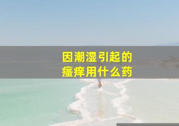 因潮湿引起的瘙痒用什么药