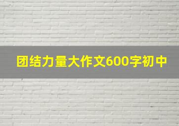 团结力量大作文600字初中