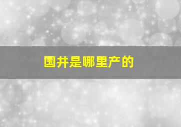 国井是哪里产的