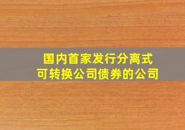 国内首家发行分离式可转换公司债券的公司