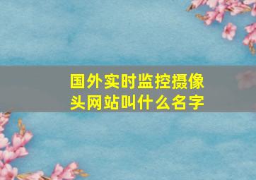 国外实时监控摄像头网站叫什么名字