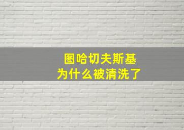 图哈切夫斯基为什么被清洗了