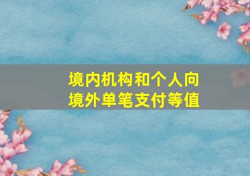 境内机构和个人向境外单笔支付等值