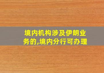 境内机构涉及伊朗业务的,境内分行可办理