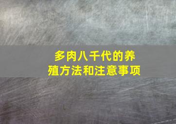 多肉八千代的养殖方法和注意事项