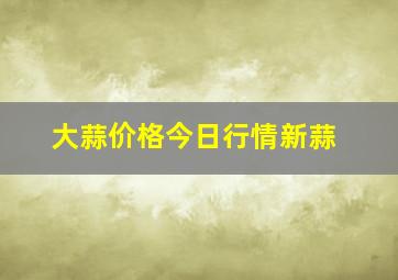 大蒜价格今日行情新蒜