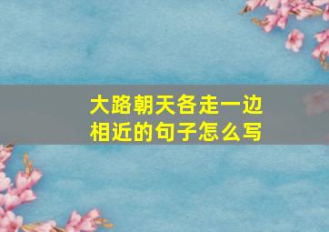 大路朝天各走一边相近的句子怎么写