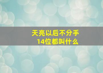 天亮以后不分手14位都叫什么