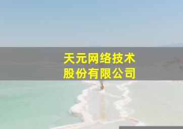 天元网络技术股份有限公司