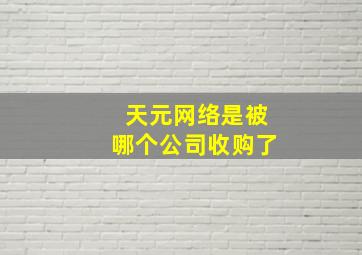 天元网络是被哪个公司收购了