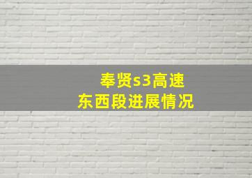 奉贤s3高速东西段进展情况