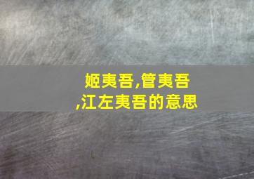 姬夷吾,管夷吾,江左夷吾的意思