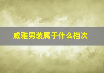 威雅男装属于什么档次