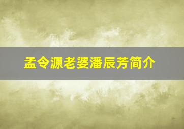 孟令源老婆潘辰芳简介