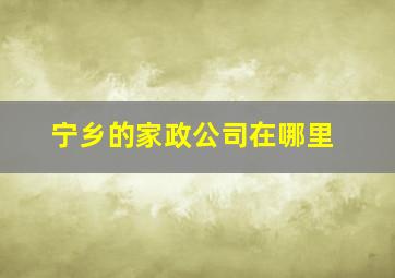 宁乡的家政公司在哪里