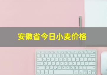 安徽省今日小麦价格