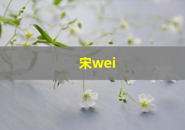 宋wei