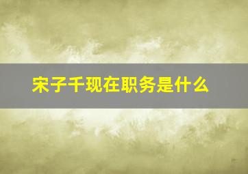 宋子千现在职务是什么