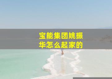 宝能集团姚振华怎么起家的