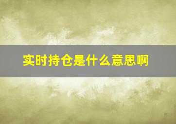 实时持仓是什么意思啊