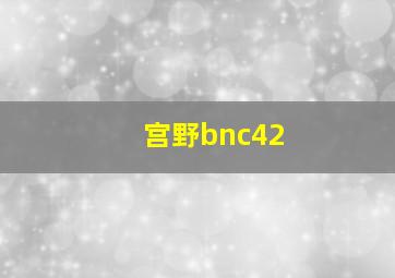 宫野bnc42