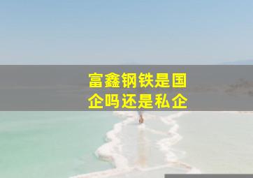 富鑫钢铁是国企吗还是私企