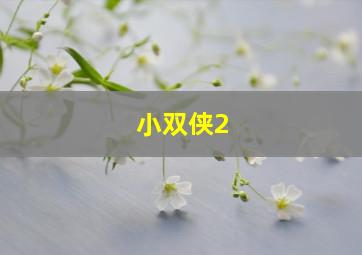 小双侠2