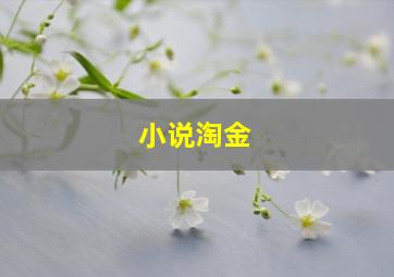 小说淘金