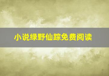 小说绿野仙踪免费阅读