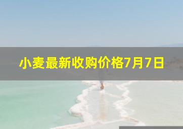 小麦最新收购价格7月7日