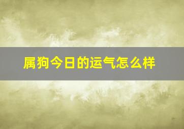 属狗今日的运气怎么样