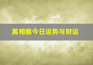 属相猴今日运势与财运