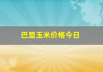 巴盟玉米价格今日