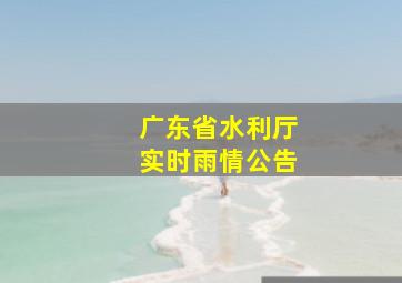 广东省水利厅实时雨情公告