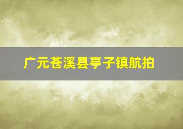 广元苍溪县亭子镇航拍