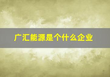 广汇能源是个什么企业